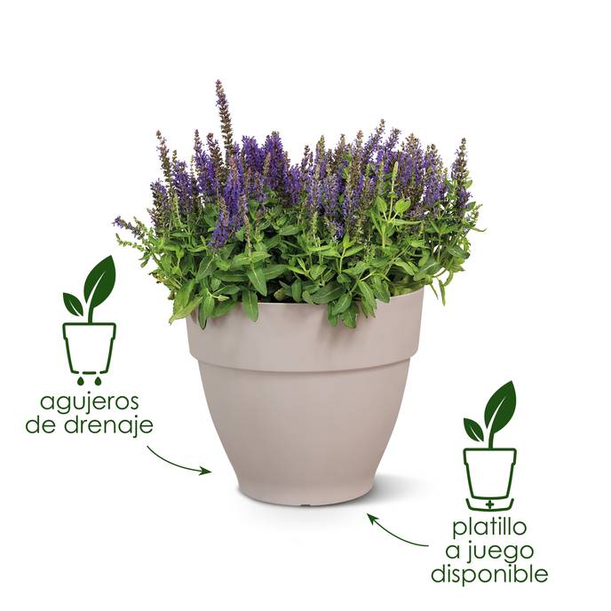 vibiacampana round 30cm pistache green